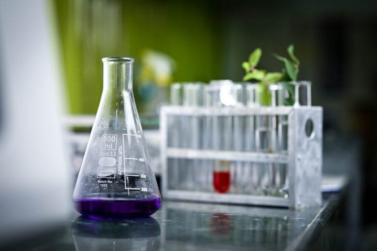 Bacteriostatic vs Bactericidal: Key Differences Explained